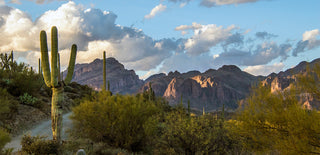 Skincare from Superstition Mountains east of Phoenix, Arizona