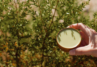 Skin balm created using creosote