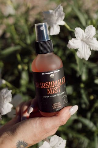 2-in-1 Hydration | MARSHMALOE MIST